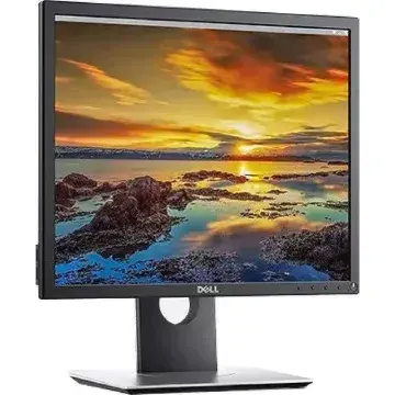 Dell 19" Square Monitor